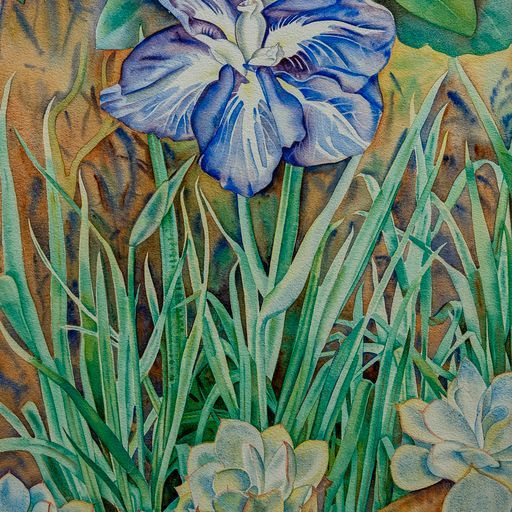 Rita Angus Iris 1953.jpeg