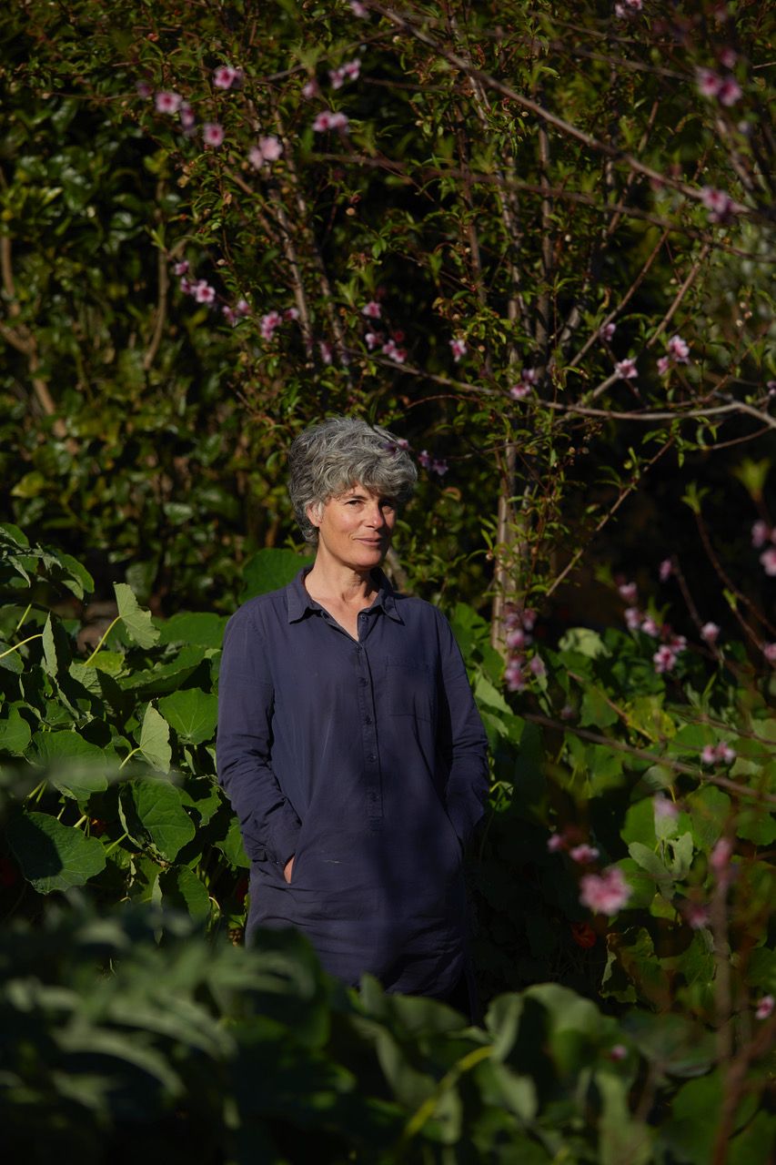 SSK Portrait Garden 2020 by Sam Hartnett.jpeg