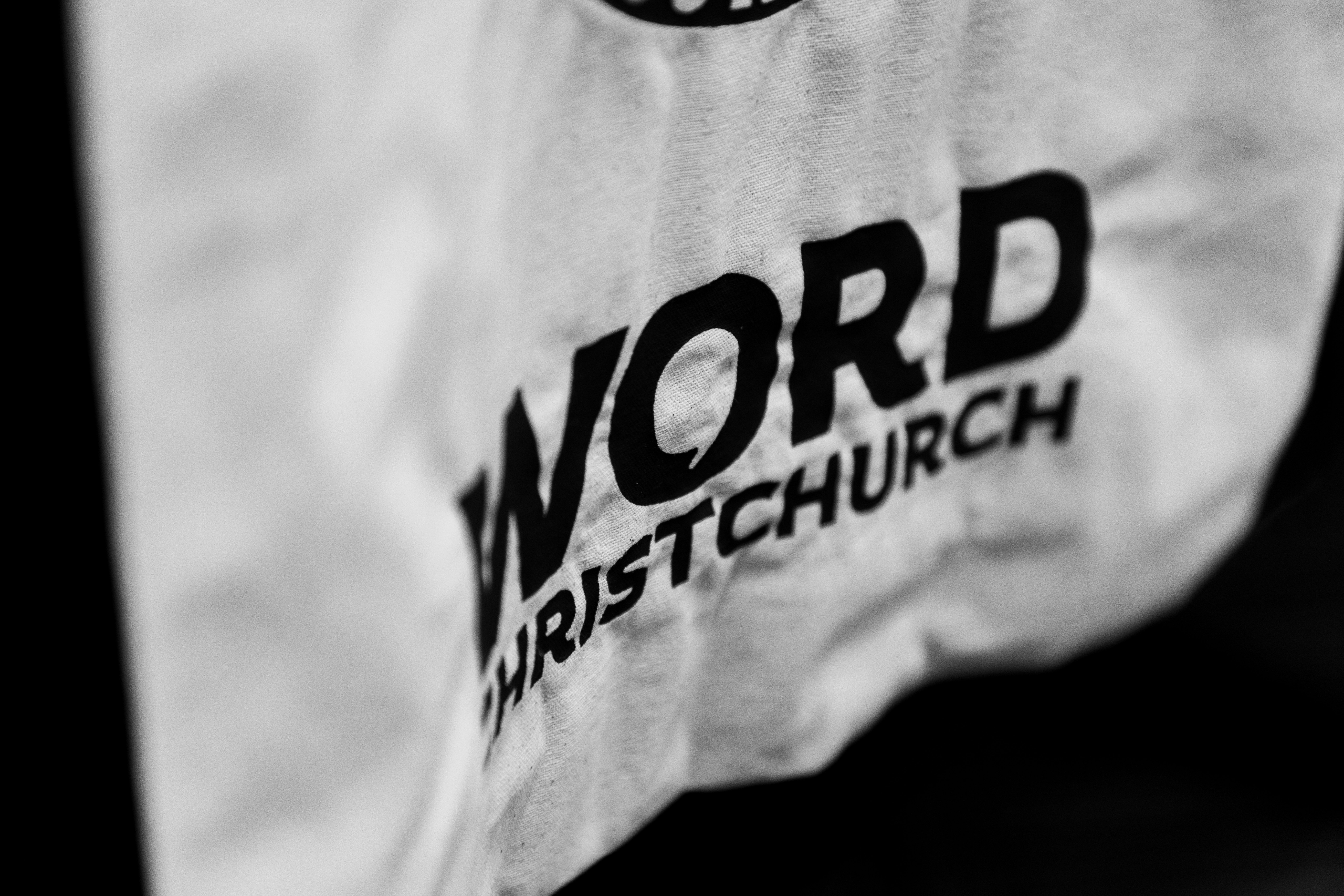 WORD - ELEANOR COTTON -arty logo_petra mingneau.jpg